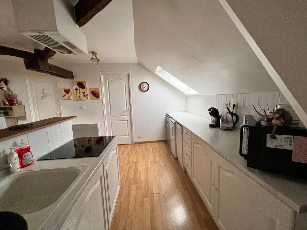 Appartement Spacieux Disneyland - La Vallee Village - 6 Personnes - 60M2 Saint-Germain-sur-Morin Ngoại thất bức ảnh